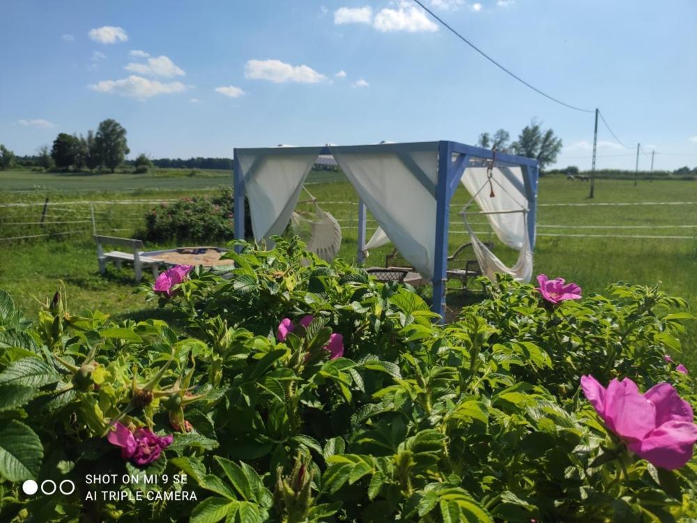 Folwark Malinowy Chrusniak Villa Bisztynek Buitenkant foto