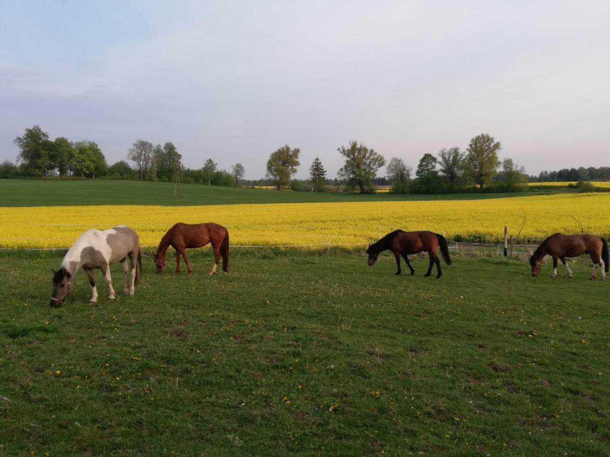 Folwark Malinowy Chrusniak Villa Bisztynek Buitenkant foto